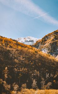 Preview wallpaper mountains, trees, slopes, landscape, vegetation