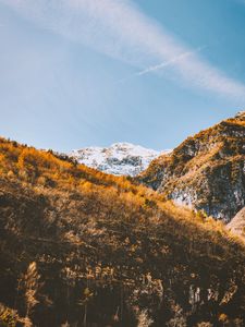 Preview wallpaper mountains, trees, slopes, landscape, vegetation