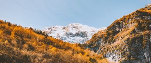 Preview wallpaper mountains, trees, slopes, landscape, vegetation