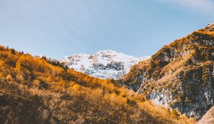 Preview wallpaper mountains, trees, slopes, landscape, vegetation