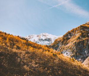 Preview wallpaper mountains, trees, slopes, landscape, vegetation