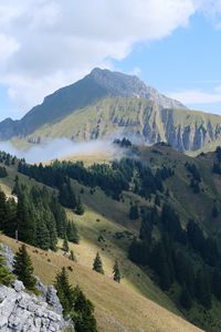 Preview wallpaper mountains, trees, slopes, clouds, landscape