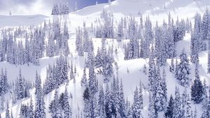 Preview wallpaper mountains, trees, slopes, fur-trees, blue, white