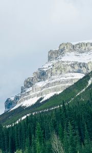 Preview wallpaper mountains, trees, snow, top