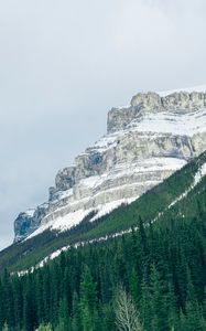 Preview wallpaper mountains, trees, snow, top