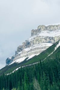 Preview wallpaper mountains, trees, snow, top