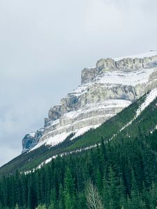 Preview wallpaper mountains, trees, snow, top