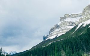 Preview wallpaper mountains, trees, snow, top