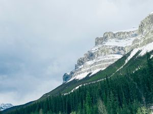 Preview wallpaper mountains, trees, snow, top