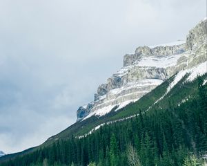 Preview wallpaper mountains, trees, snow, top