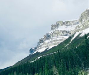 Preview wallpaper mountains, trees, snow, top