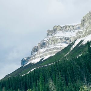 Preview wallpaper mountains, trees, snow, top