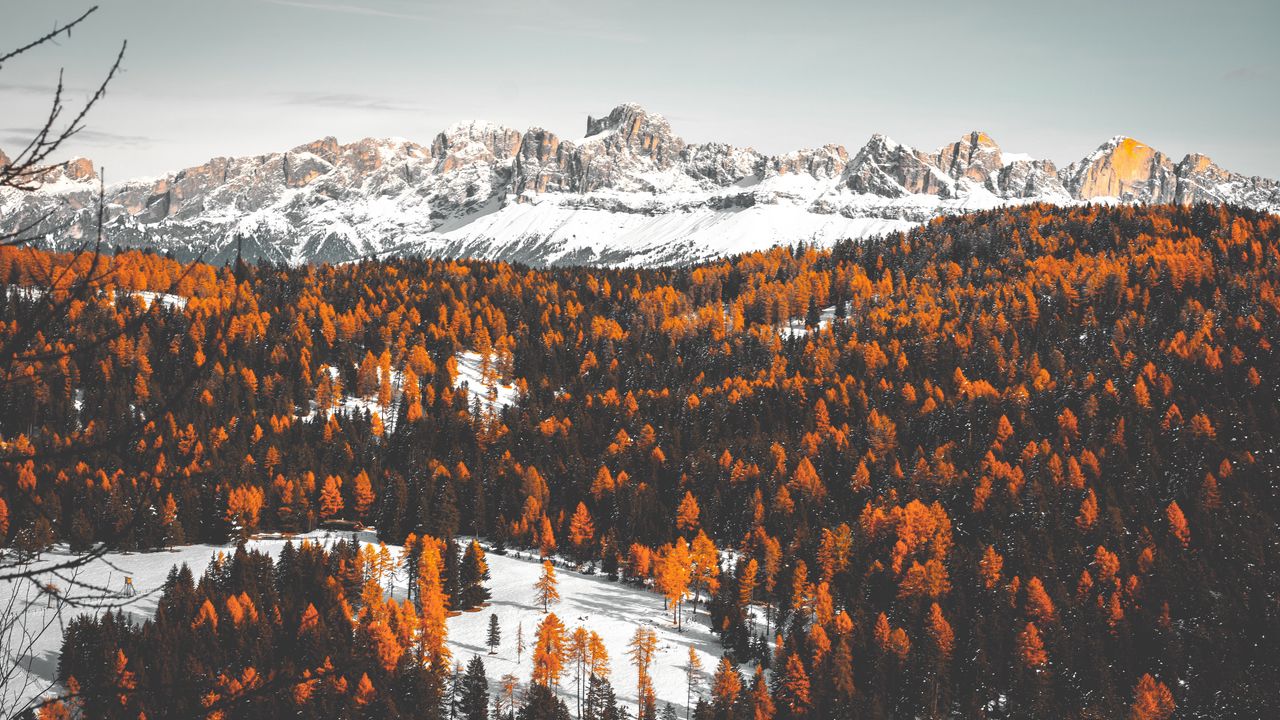 Wallpaper mountains, trees, snow, winter