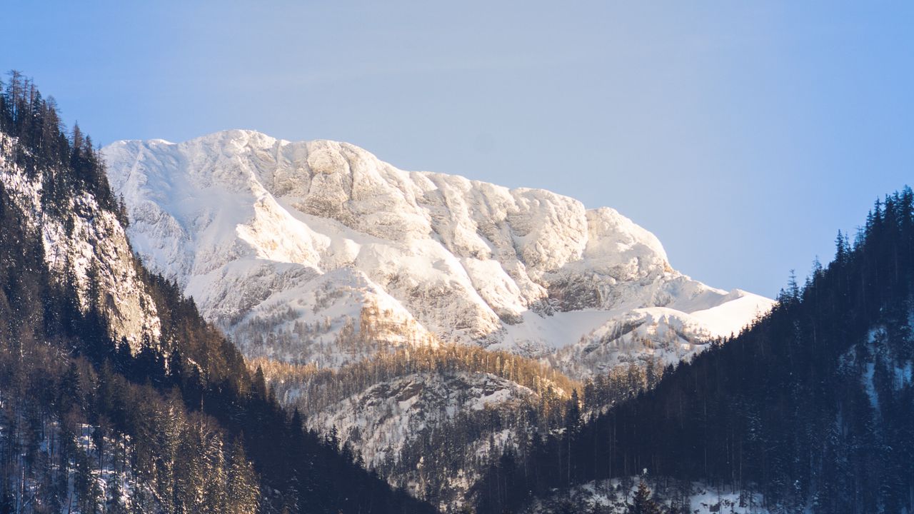 Wallpaper mountains, trees, snow, peak, sky