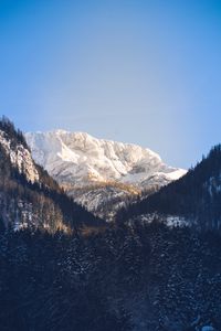 Preview wallpaper mountains, trees, snow, peak, sky