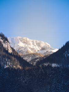 Preview wallpaper mountains, trees, snow, peak, sky