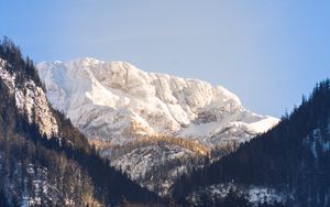 Preview wallpaper mountains, trees, snow, peak, sky