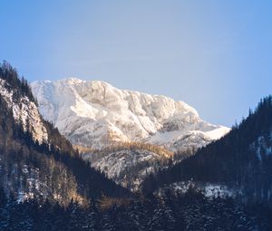 Preview wallpaper mountains, trees, snow, peak, sky