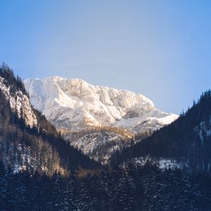 Preview wallpaper mountains, trees, snow, peak, sky