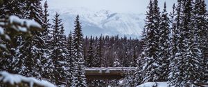 Preview wallpaper mountains, trees, snow, winter, landscape