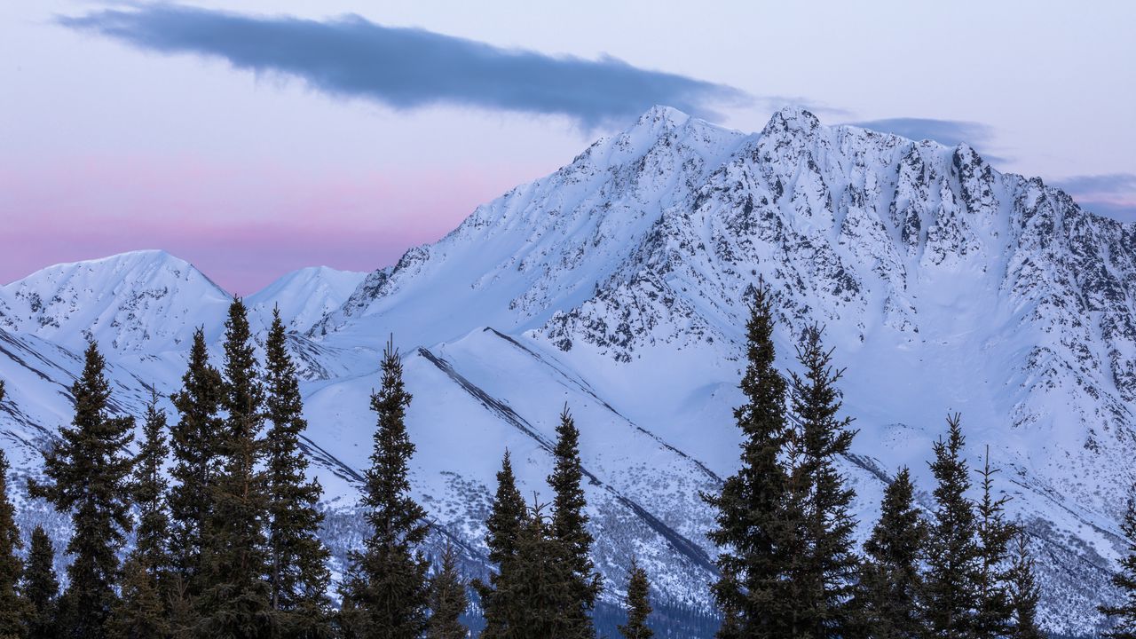 Wallpaper mountains, trees, snow, snowy, landscape