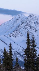 Preview wallpaper mountains, trees, snow, snowy, landscape