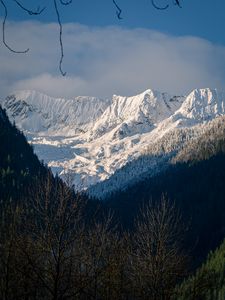 Preview wallpaper mountains, trees, snow, winter, landscape, mountain range