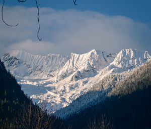 Preview wallpaper mountains, trees, snow, winter, landscape, mountain range