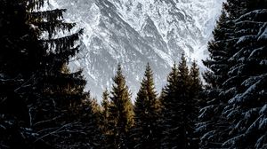 Preview wallpaper mountains, trees, snow, landscape, winter