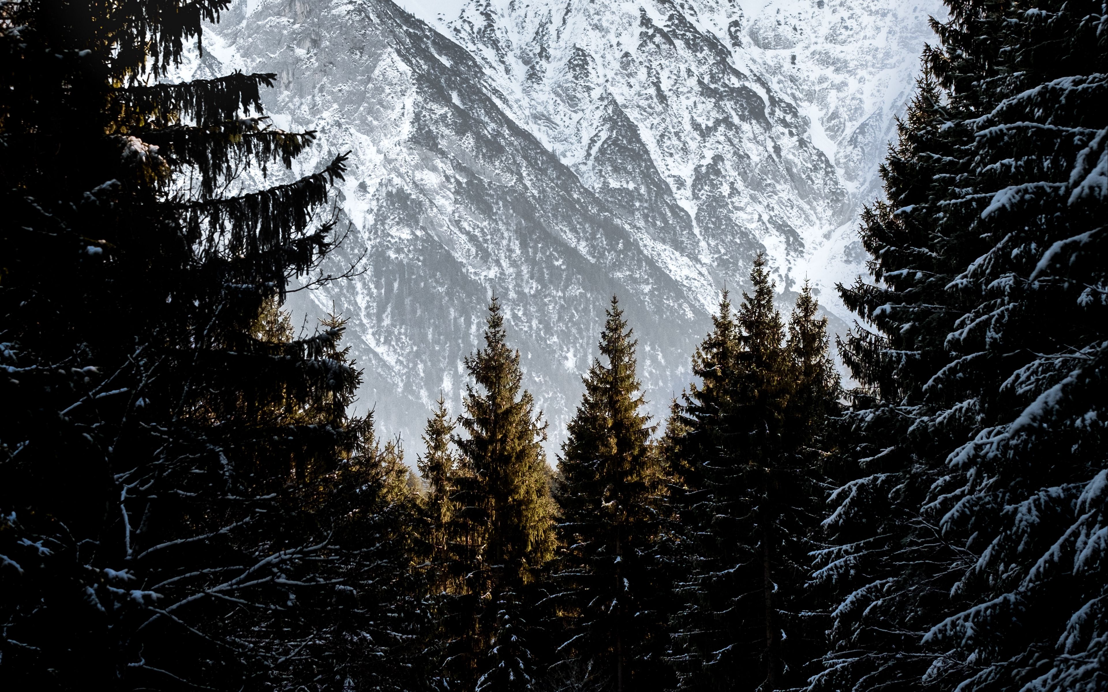 Download wallpaper 3840x2400 mountains, trees, snow, landscape, winter ...