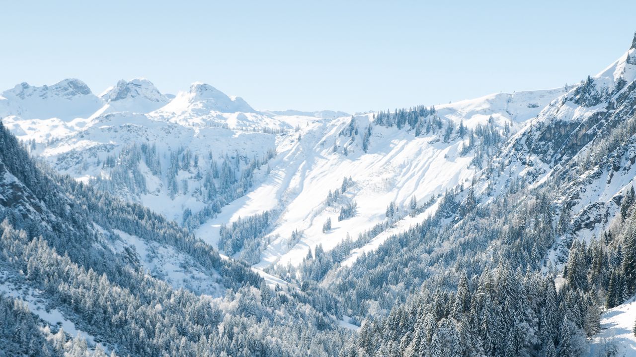 Wallpaper mountains, trees, snow, landscape, aerial view