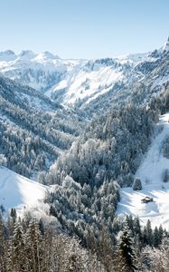 Preview wallpaper mountains, trees, snow, landscape, aerial view