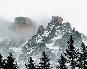 Preview wallpaper mountains, trees, snow, clouds, nature