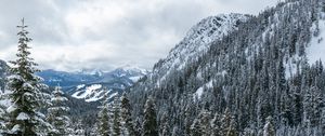 Preview wallpaper mountains, trees, snow, snowy, forest