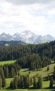 Preview wallpaper mountains, trees, snow, snowy, distance