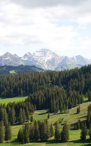 Preview wallpaper mountains, trees, snow, snowy, distance