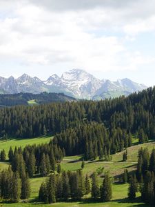 Preview wallpaper mountains, trees, snow, snowy, distance