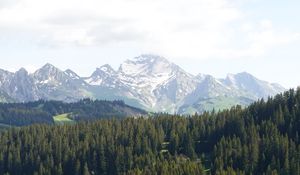 Preview wallpaper mountains, trees, snow, snowy, distance