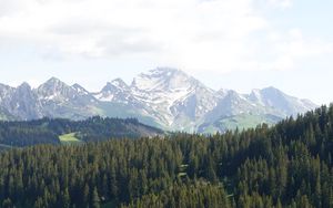 Preview wallpaper mountains, trees, snow, snowy, distance