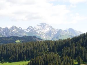 Preview wallpaper mountains, trees, snow, snowy, distance