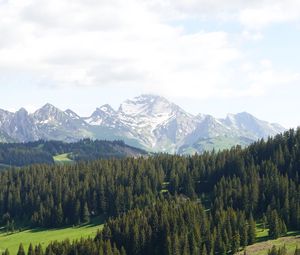 Preview wallpaper mountains, trees, snow, snowy, distance