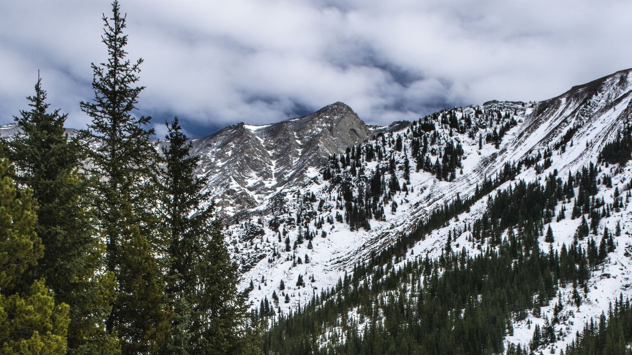 Wallpaper mountains, trees, snow, winter, nature