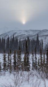 Preview wallpaper mountains, trees, snow, sunset, landscape, winter