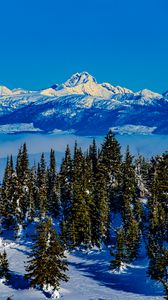 Preview wallpaper mountains, trees, snow, clouds, winter, landscape