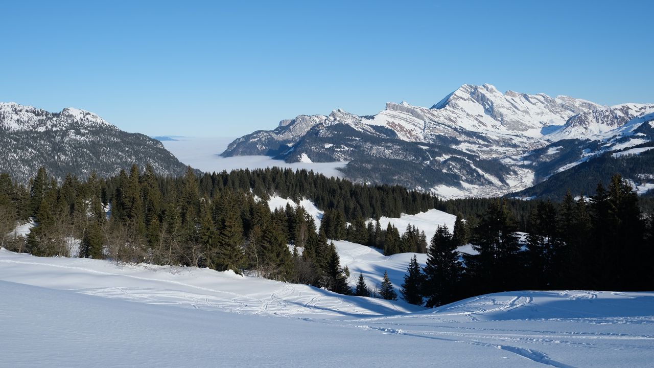 Wallpaper mountains, trees, snow, winter, landscape, nature