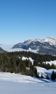 Preview wallpaper mountains, trees, snow, winter, landscape, nature