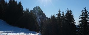 Preview wallpaper mountains, trees, snow, rays, sun, nature, winter