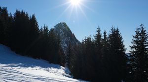 Preview wallpaper mountains, trees, snow, rays, sun, nature, winter