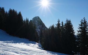 Preview wallpaper mountains, trees, snow, rays, sun, nature, winter