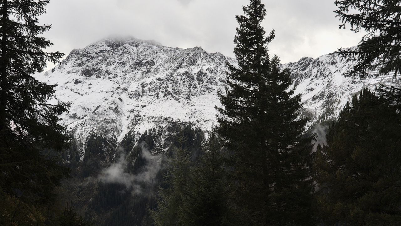 Wallpaper mountains, trees, snow, road, landscape
